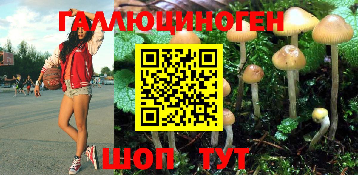 Славянск-на-Кубани  Галлюциногенные грибы GOLDEN TEACHER  Псилоцибиновые грибы Psilocybe  Вход с VPN 